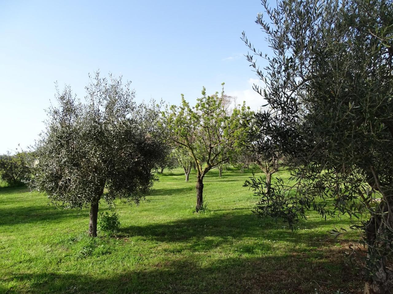 Podere 1248 Ladispoli Eksteriør bilde